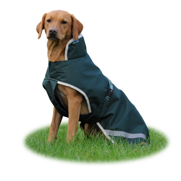 Bucas Greenline Dog Rug -koiraloimi 50g