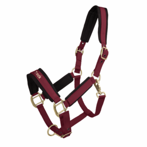 Bot Werano Halter