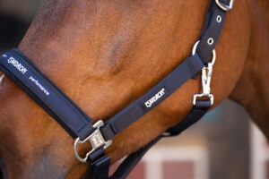 Eskadron pin buckle riimu - Image 3