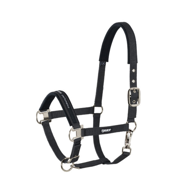 eskadron pin buckle riimu