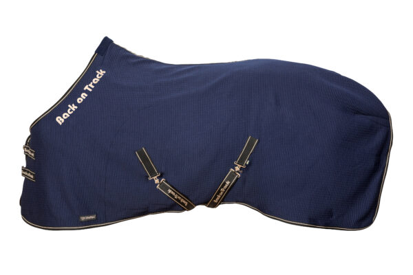 BOT 2144 Quick Cooler Rug