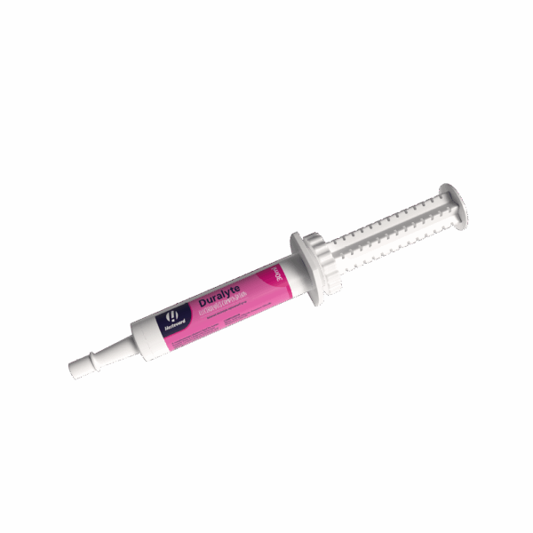 Hestevard Duralyte Paste 30ml