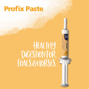 Hestevard Profix Paste 30ml- täydennysrehu - Image 5