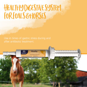 Hestevard Profix Paste 30ml- täydennysrehu - Image 2