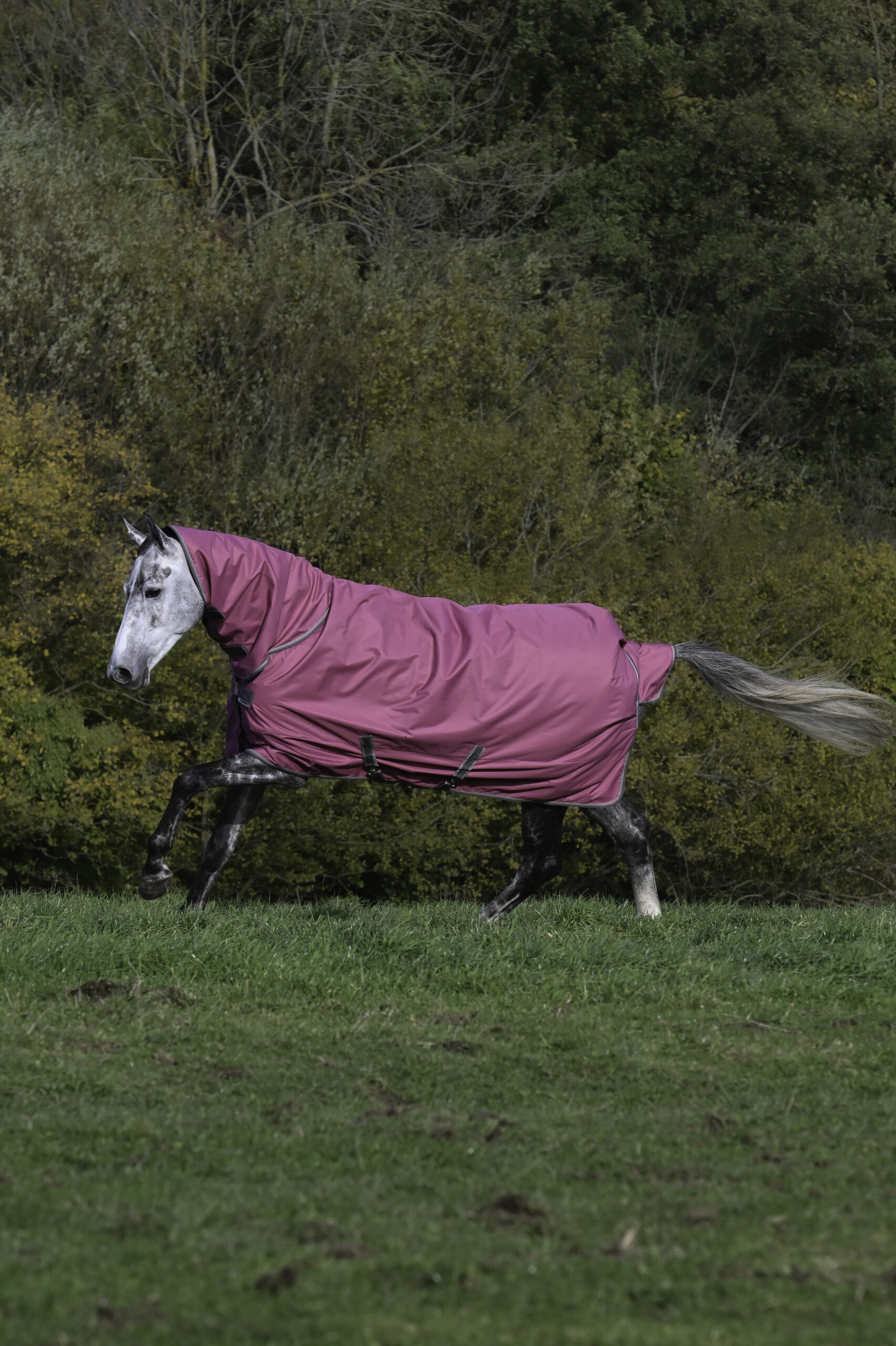 Bucas Freedom Turnout Full Neck Raspberry