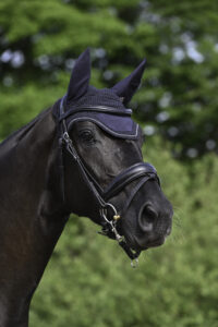 Hevosen päässä korvahuppu