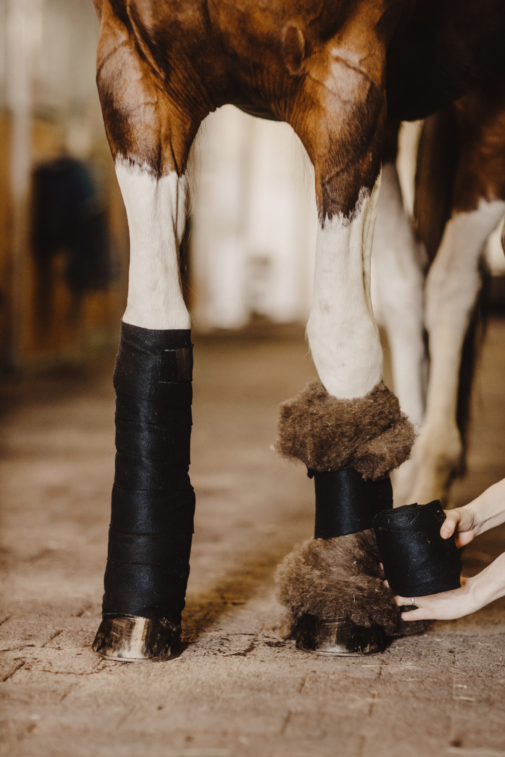 Village villapatjat - Image 4