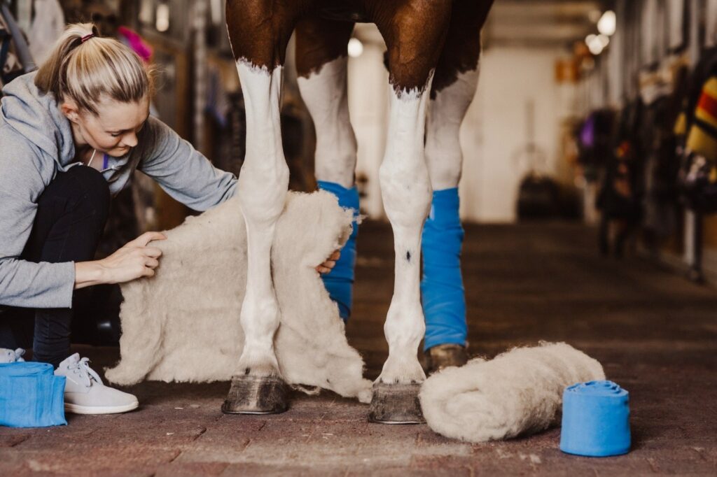 Nainen laittaa hevosen jalkaan Village-villapatjan.