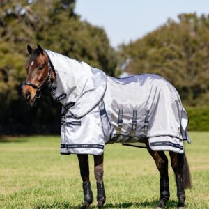 Kuvassa on ötökkäloimi.